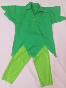 Kids Costumes to Hire - Peter Pan - Child